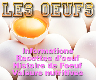 Tout savoir sur les oeufs, conseils et recettes